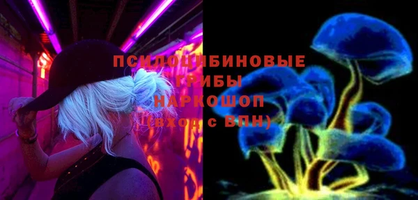 мдпв Покачи