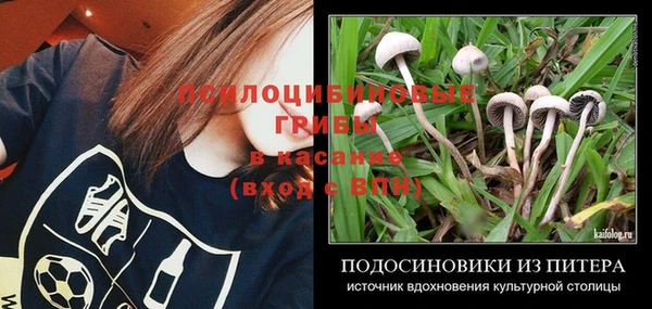 метадон Алексеевка